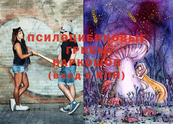мдма Краснослободск