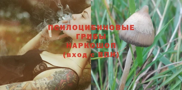 мдма Краснослободск