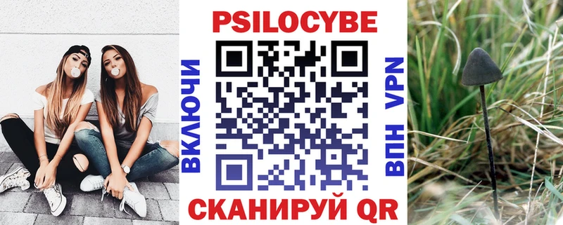 Псилоцибиновые грибы Psilocybine cubensis  Купить где  Бугульма 